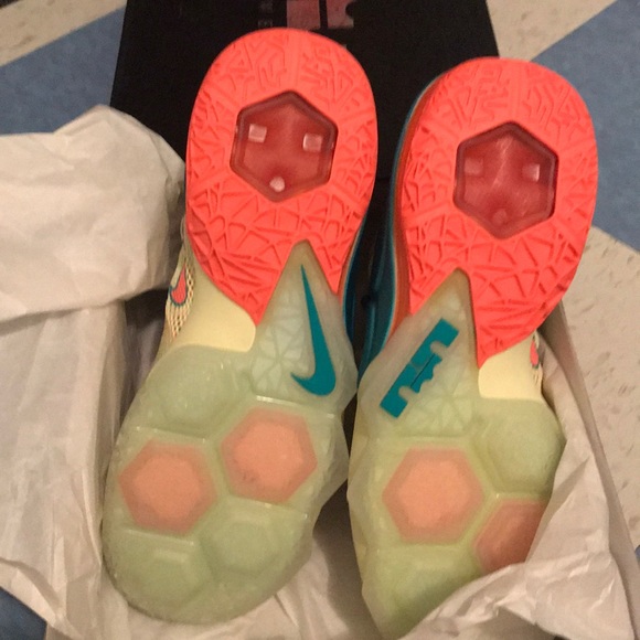 Lebrons - Picture 2 of 4